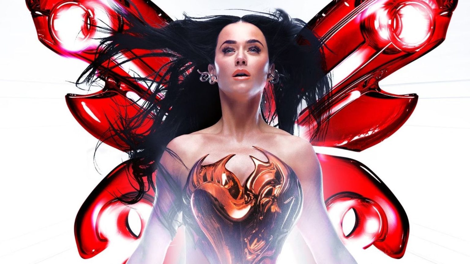 KATY PERRY LIFETIMES TOUR BOOK visual data 8