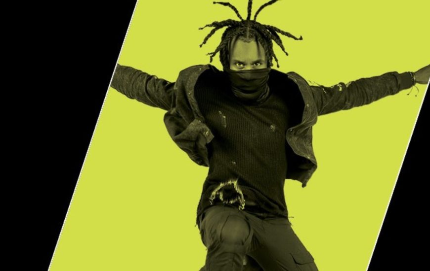 Steppenwolf Fluidity